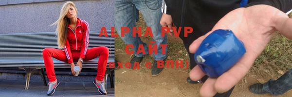 трава Няндома