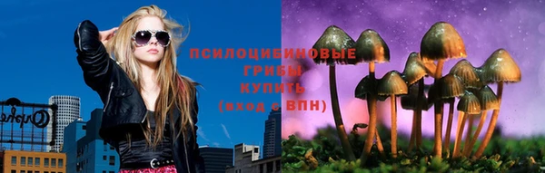альфа пвп Новодвинск