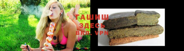 альфа пвп Новодвинск