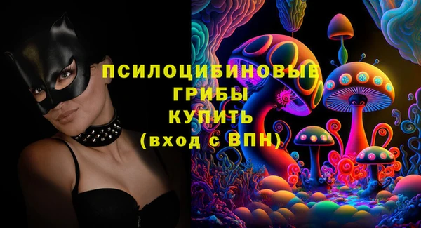 альфа пвп Новодвинск