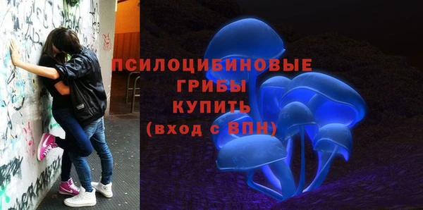 эйфоретик Новозыбков