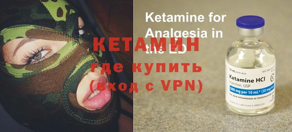 трава Няндома