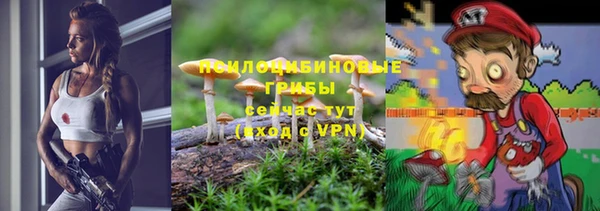 PSILOCYBIN Гусь-Хрустальный