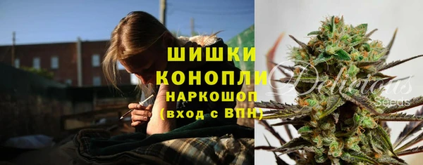 эйфоретик Новозыбков