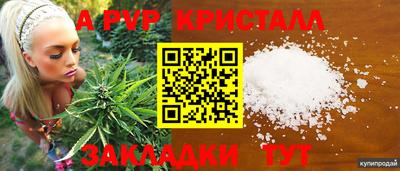стафф Апшеронск