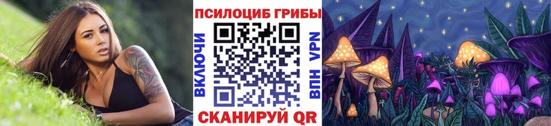 Псилоцибиновые грибы GOLDEN TEACHER  darknet официальный сайт  Борисоглебск 