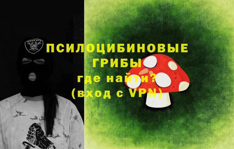 Галлюциногенные грибы Psilocybe  Борисоглебск 