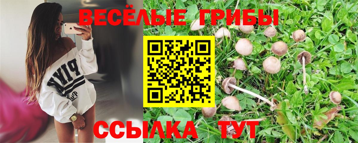 Псилоцибиновые грибы Psilocybe Борисоглебск